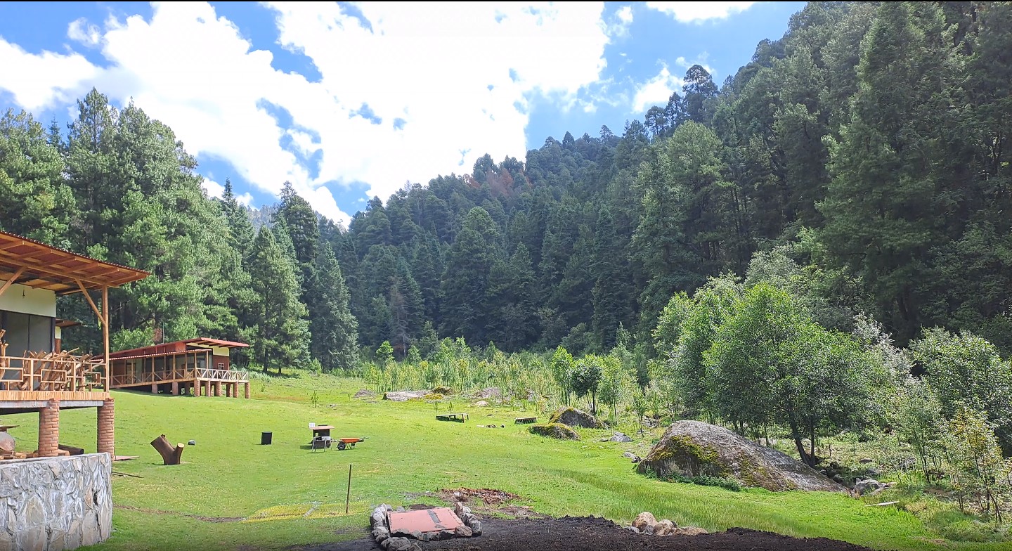 Aventura en la Naturaleza: Explorando los Tesoros del Parque